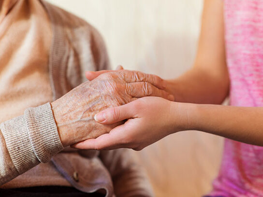 camin-batrani-eden-noutati-2